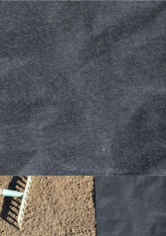 A142744190