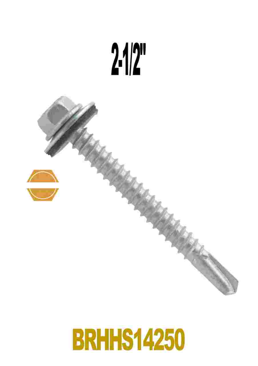 H541574956