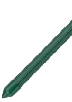 H631061924