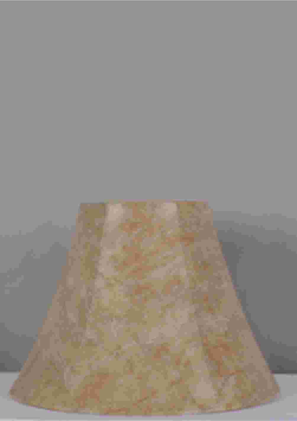 H450873299