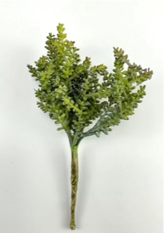 H630771434