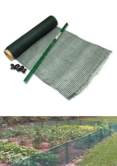 H631059180