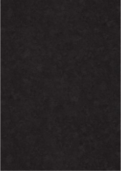 H710369724