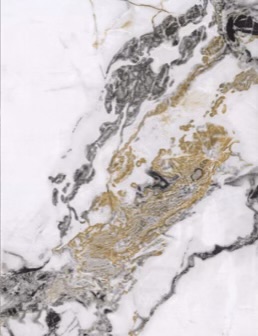 H710372209